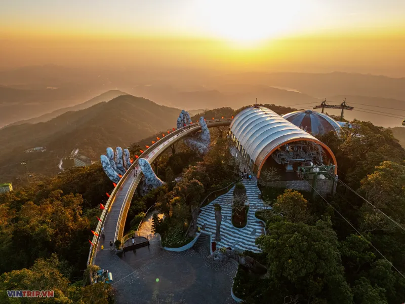 cay vang ba na hills da nang vintrip.png